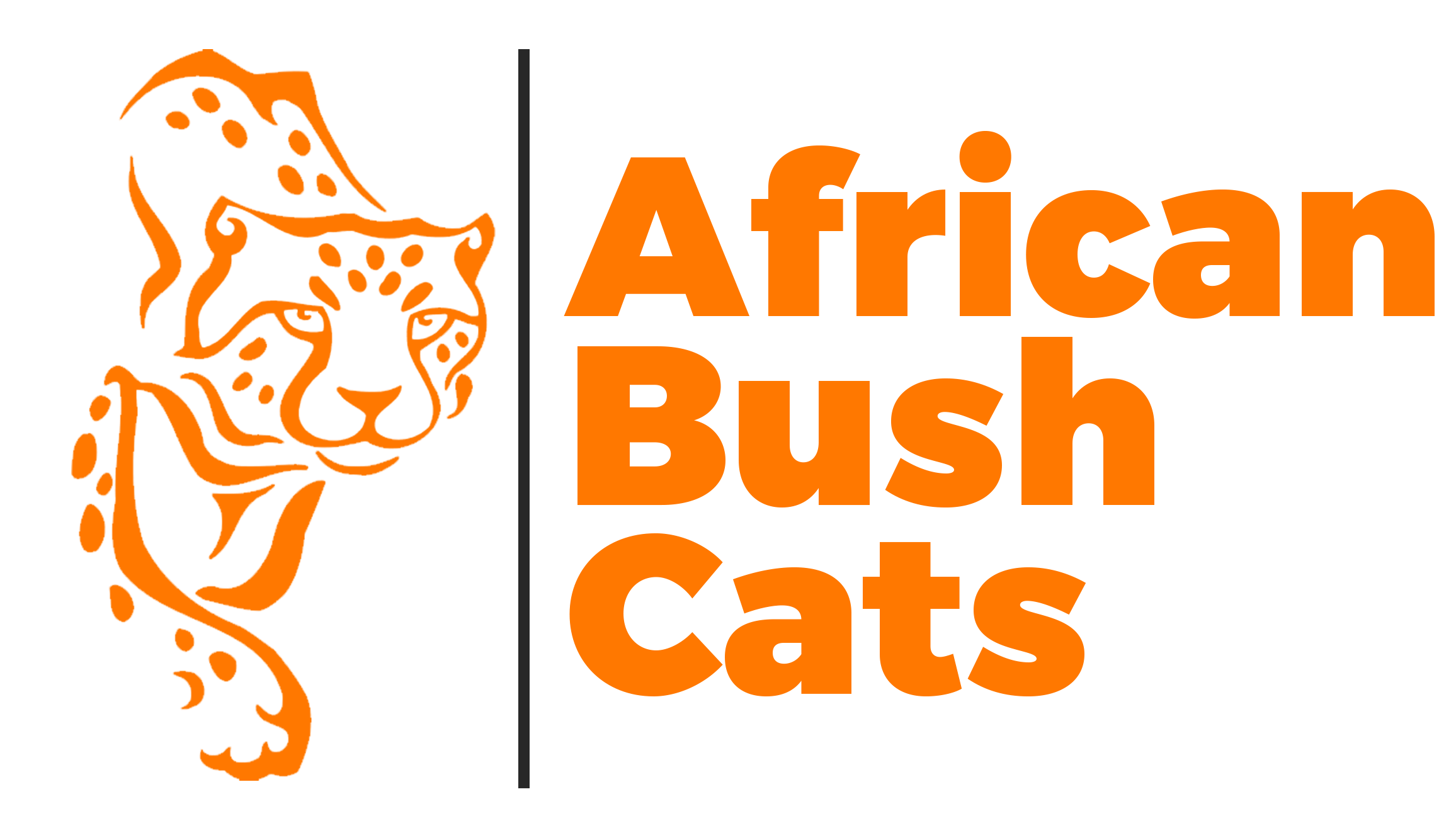 Africa Bush Cats ltd