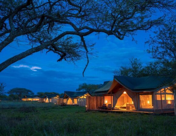 4 days, 3 nights Tanzania luxury safari