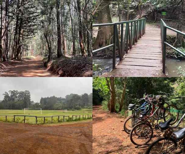 Karura Forest biking by African Bush Safaris