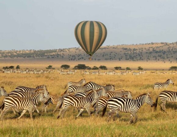 4 days, 3 nights Tanzania budget camping safari to Serengeti and Ngorongoro