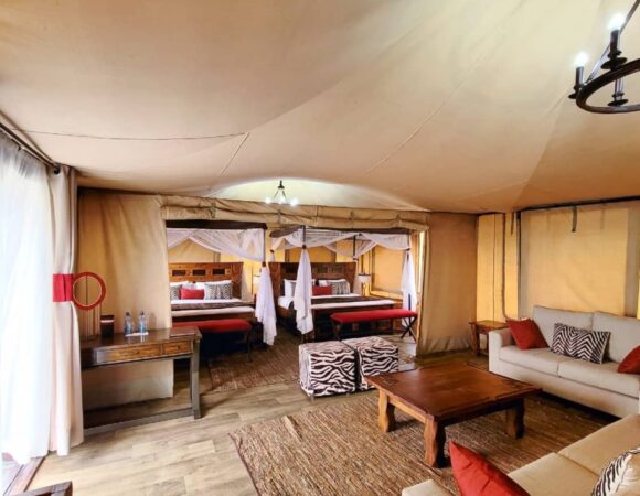 12 days 11 nights | Kenya bush and Zanzibar beach private safari