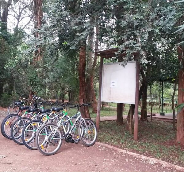 Karura Forest biking by African Bush Safaris