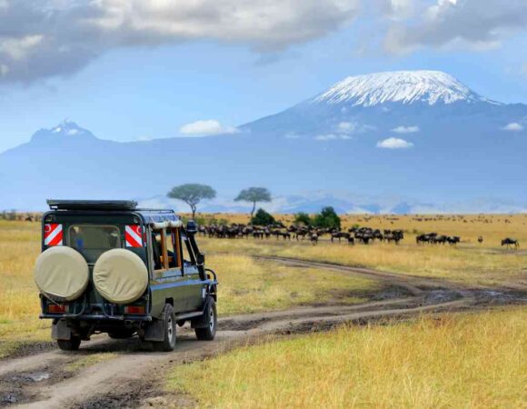 16 days 15 nights Kenya and Tanzania and Zanzibar beach flight luxury safari
