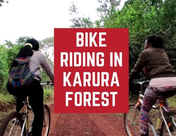 Biking at Karura forest