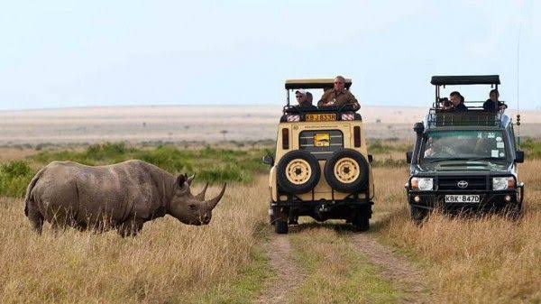 4 days and 3 nights Nairobi & Maasai Mara Private Safari