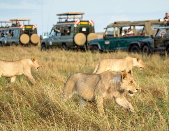 4 days and 3 nights Nairobi,Maasai Mara Safari