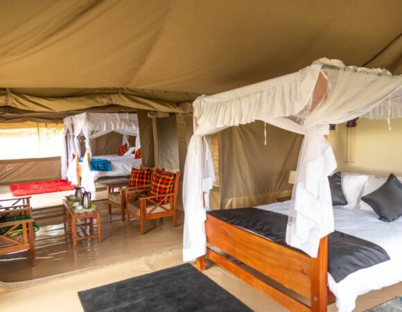 4 days Maasai Mara and  Lake Nakuru Safari