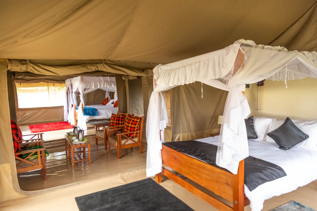 4-Day Masai Mara & Lake Nakuru Safari - Lodge Tour Package