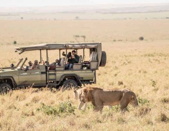 3 days and 2 nights Maasai Mara - Private Safari