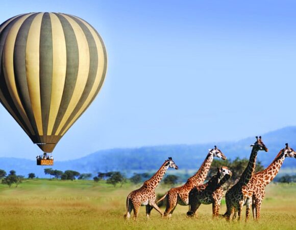 4 days and 3 nights Nairobi-Maasai Mara Safari